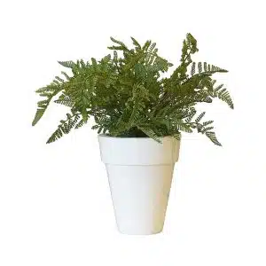 White Glossy Planter & Fern Plants No.9