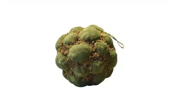 Moss Ball 58190