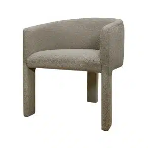 Home Decor Toben Dining Chair 01 Side View