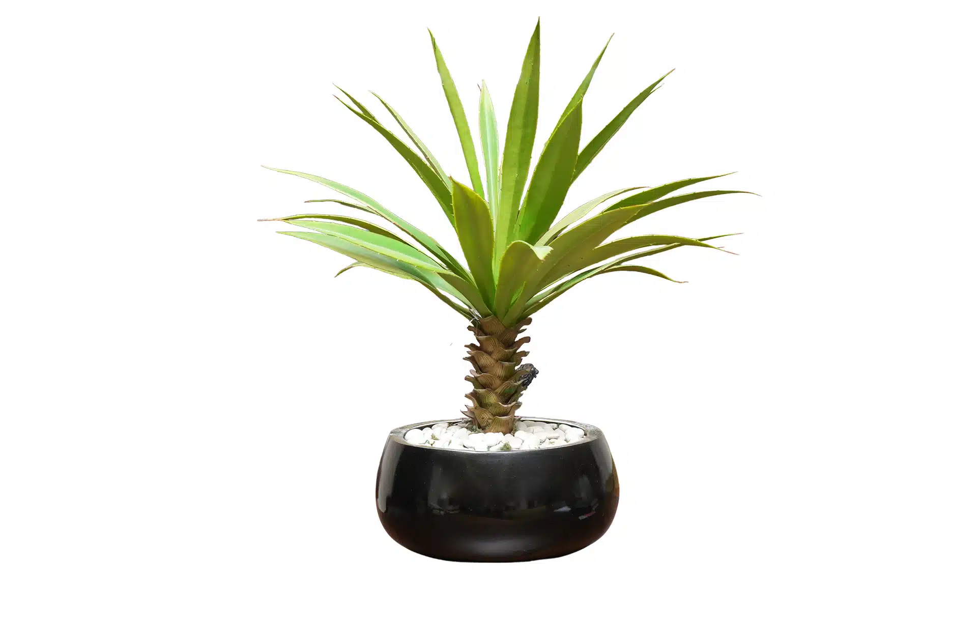 Home Decor Flower Arrangement Yucca 31 LVS Black Front View