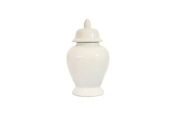 Seaford Ginger Jar Medium AV69770