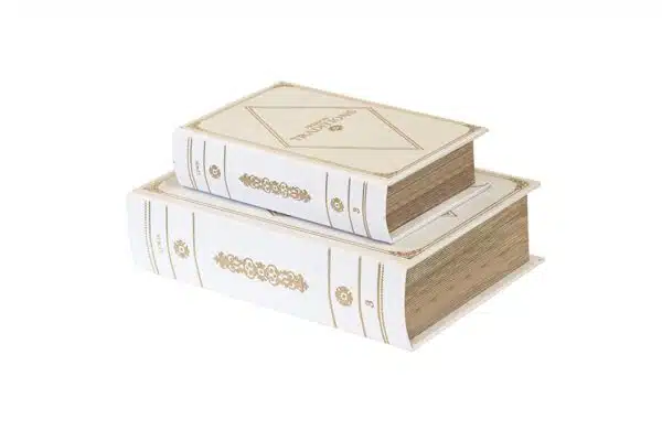 S/2 Book Boxes 41141 L:11X7X3