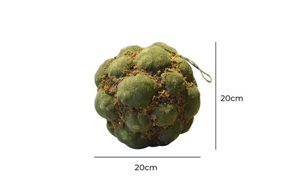 Moss Ball 58190