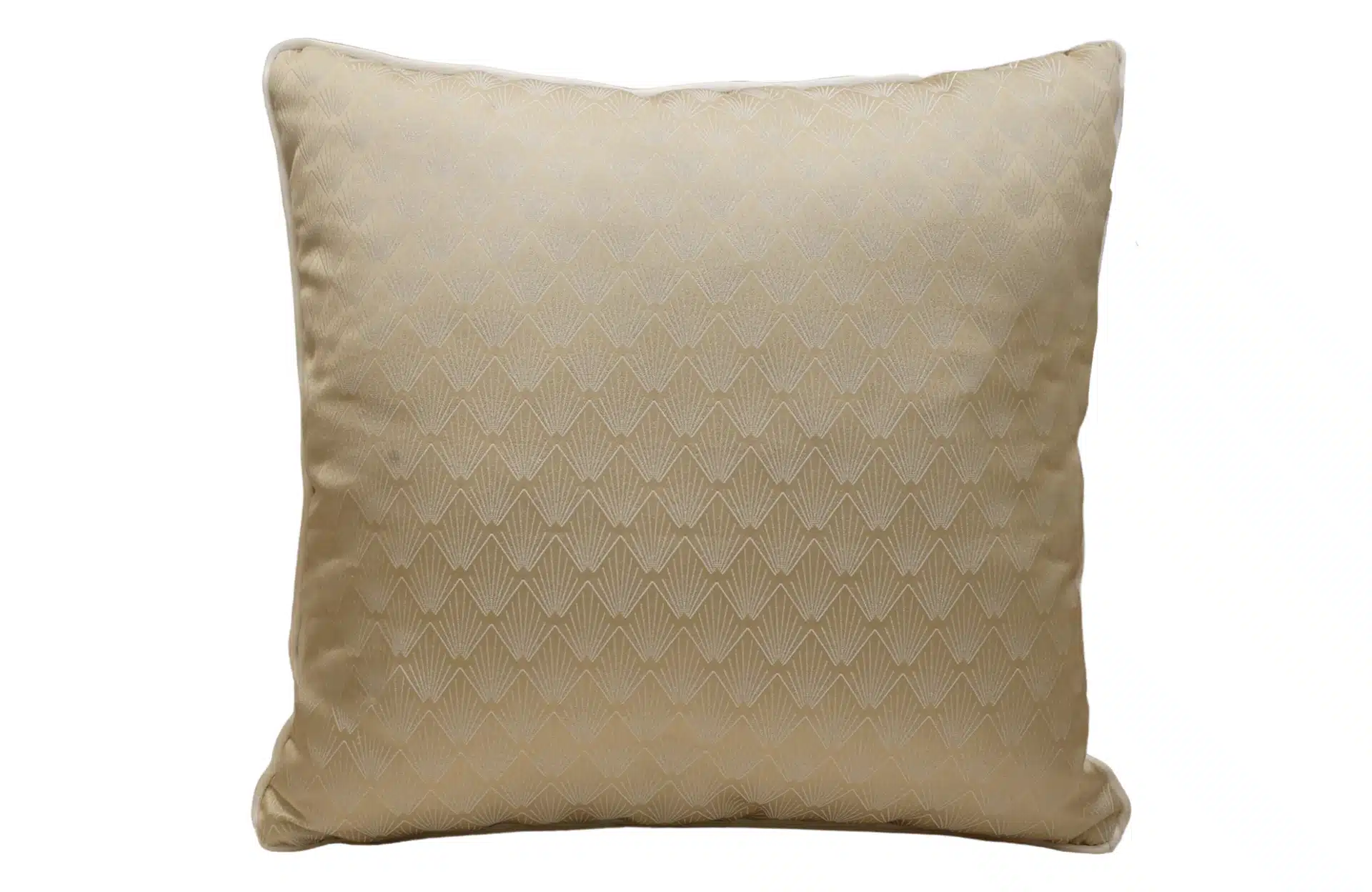 Home Decor Square Cushion CHN200303204 IND Cushion Front View