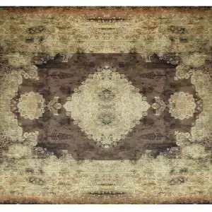 Home Decor Classical Rugs Neo Classic Carpet DF35 (250X350) Front View