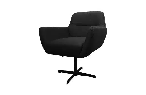 Lyndon Arm chair Black Bird