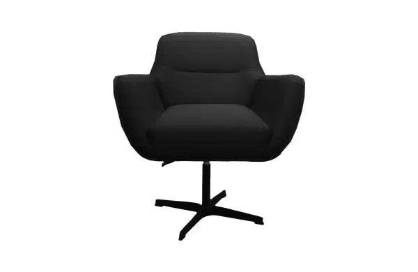 Lyndon Arm chair Black Bird