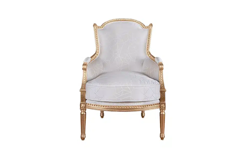 Home Decor Armchair MS2215005 Previya Chair Front View