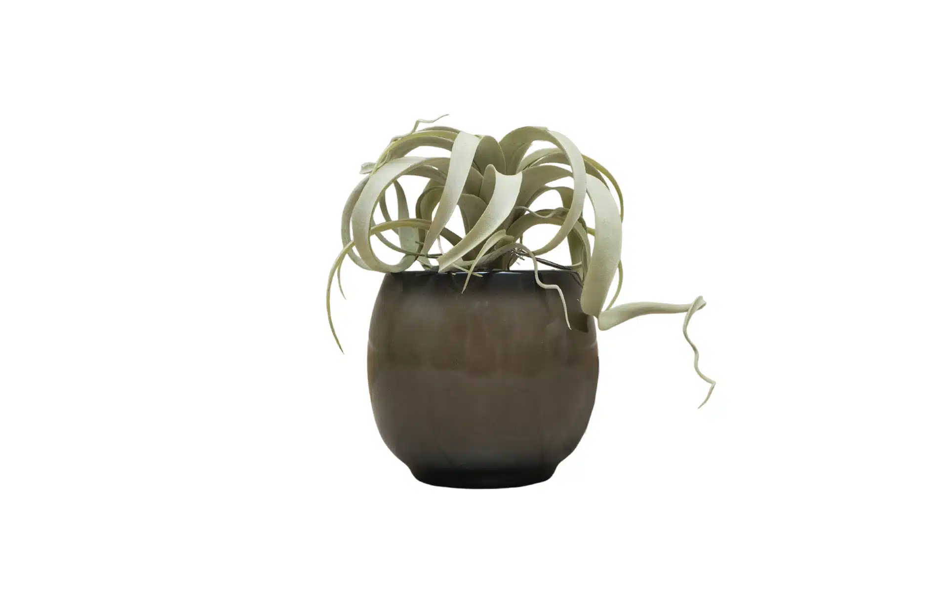 Home Decor Flower Arrangement No-46 Grey Glossy Pot Tillandsia 24 Front View