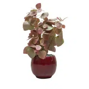 Home Decor Flower Arrangement No-51 Glossy Bordeaux Pot Ponsetia 24 Front View