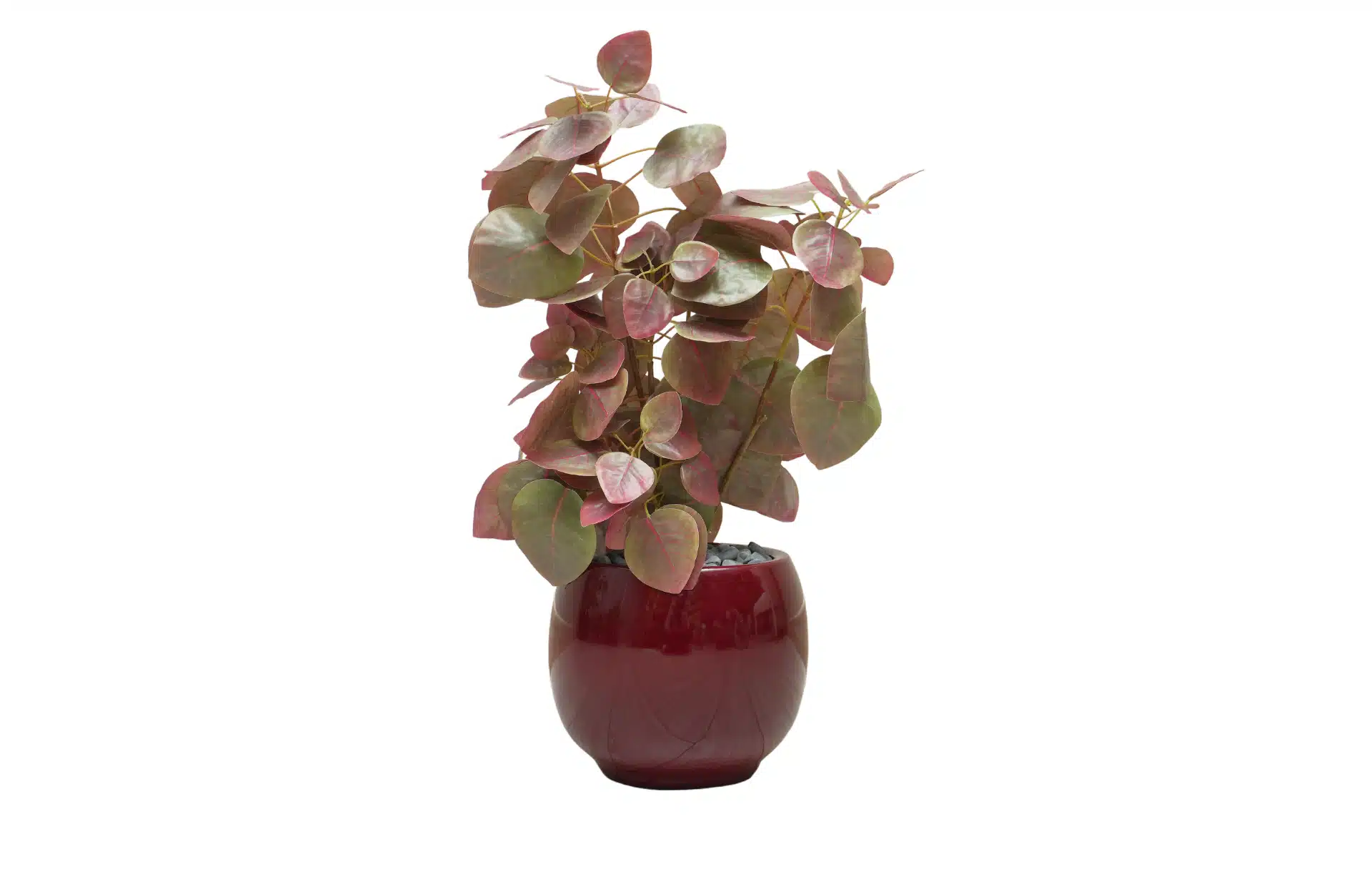 Home Decor Flower Arrangement No-51 Glossy Bordeaux Pot Ponsetia 24 Front View