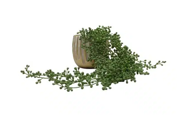 Home Decor Flower Arrangement No-65 Gold Sheipe Pot Hanging Plant 24 Side View