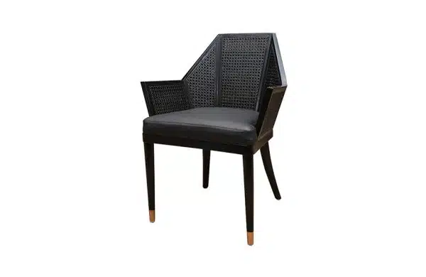 Home Decor Armchair Milla Rottan Chair Side View