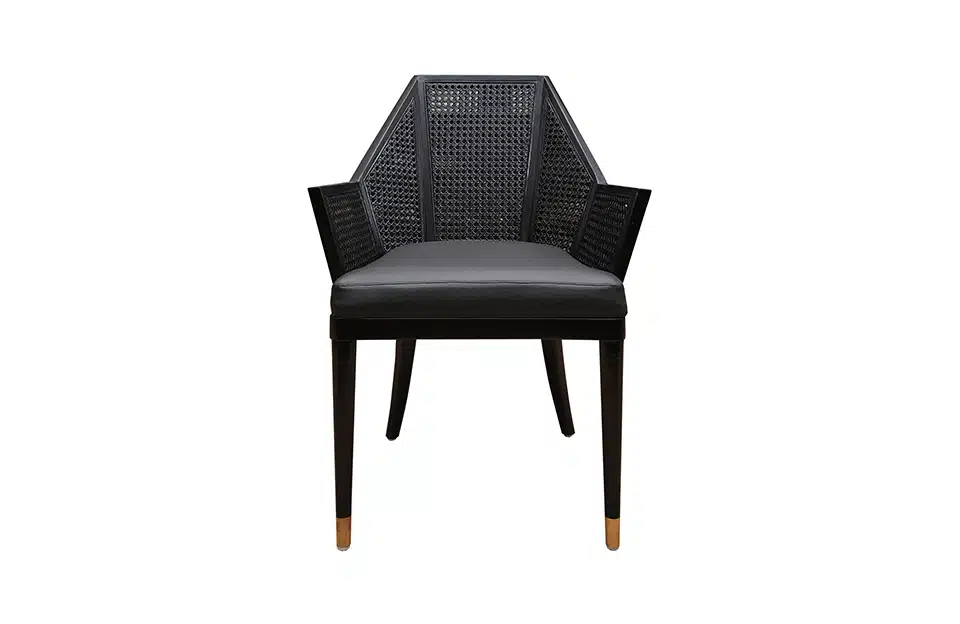 Home Decor Dining Chair Milla Rottan Chair Front View