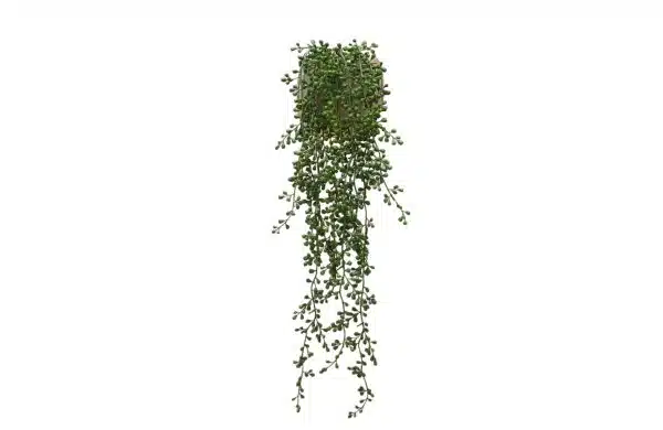 Home Decor Flower Arrangement No-65 Gold Sheipe Pot Hanging Plant 24 Front View