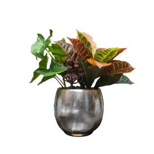 Home Decor Flower Arrangement No.86 - 022022 Silver Planter Gardenmix Front View