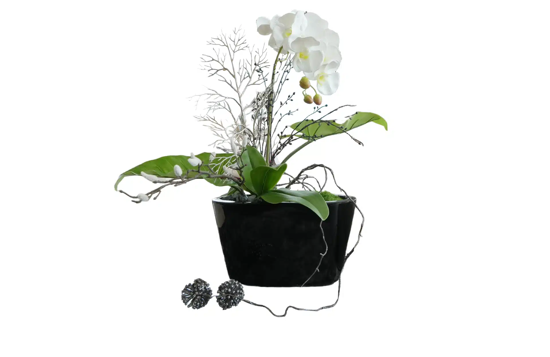 Home Decor Flower Arrangement No-58 Black Bowl Modern Anggrek White 24 Front View