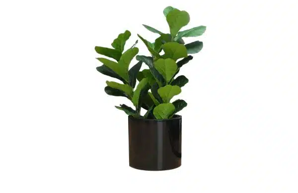 Home Decor Flower Arrangement No-67 Glossy Black Pot Plant 24 Front View