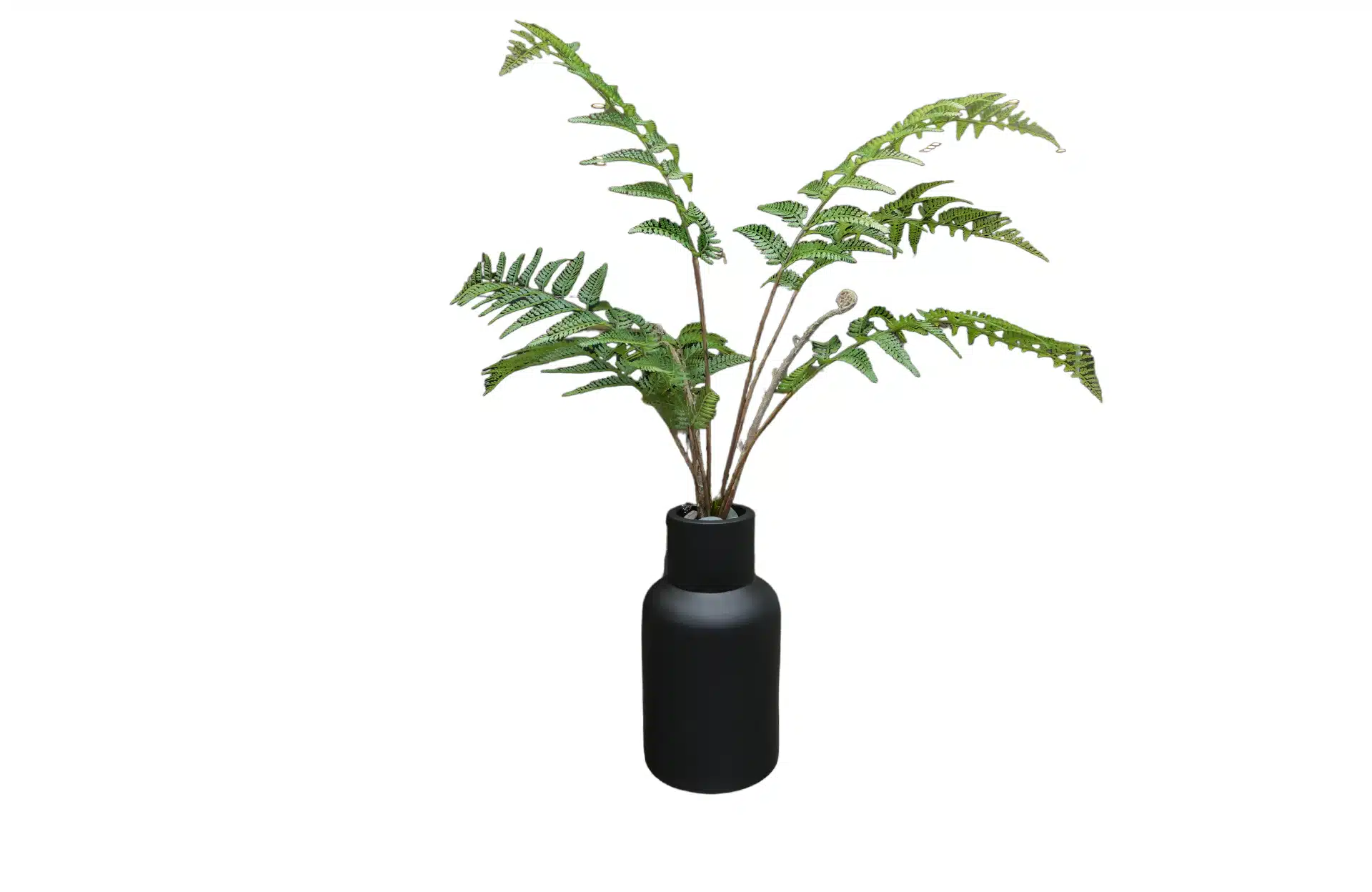 Home Decor Flower Arrangement No-N Mat Black Pot Fern 24 Front View