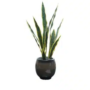 Home Decor Flower Arrangement No-55 Black Glossy Plant 24 Front View