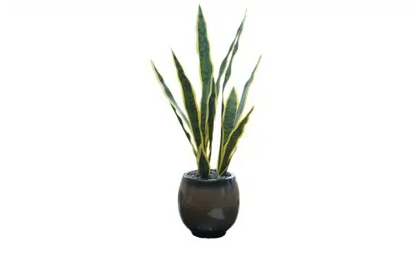 Home Decor Flower Arrangement No-55 Black Glossy Plant 24 Front View