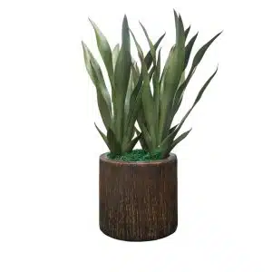 Home Decor Flower Arrangement No-71 Brown Pot Sanseuerici Modern 24 Front View