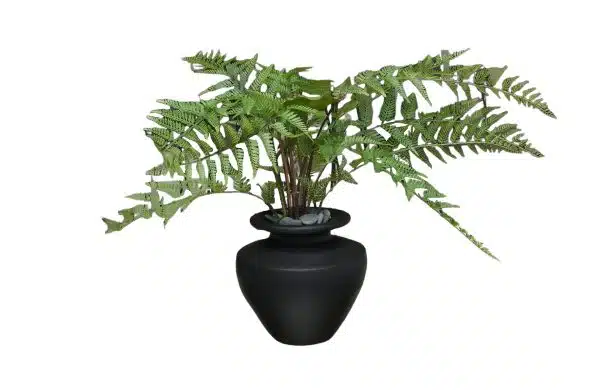 Home Decor Flower Arrangement No-M Mat Black Pot Fern 24 Front View