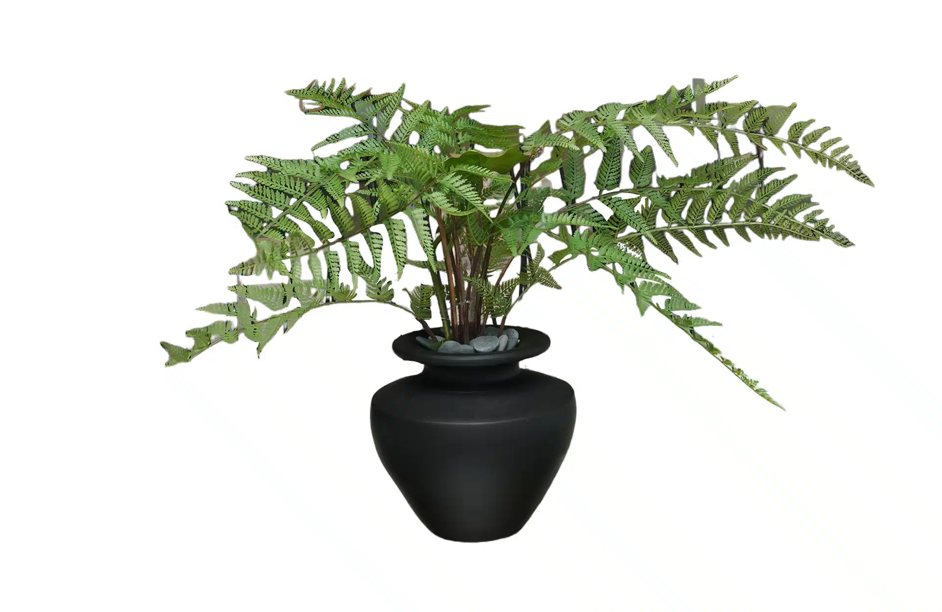 Home Decor Flower Arrangement No-M Mat Black Pot Fern 24 Front View