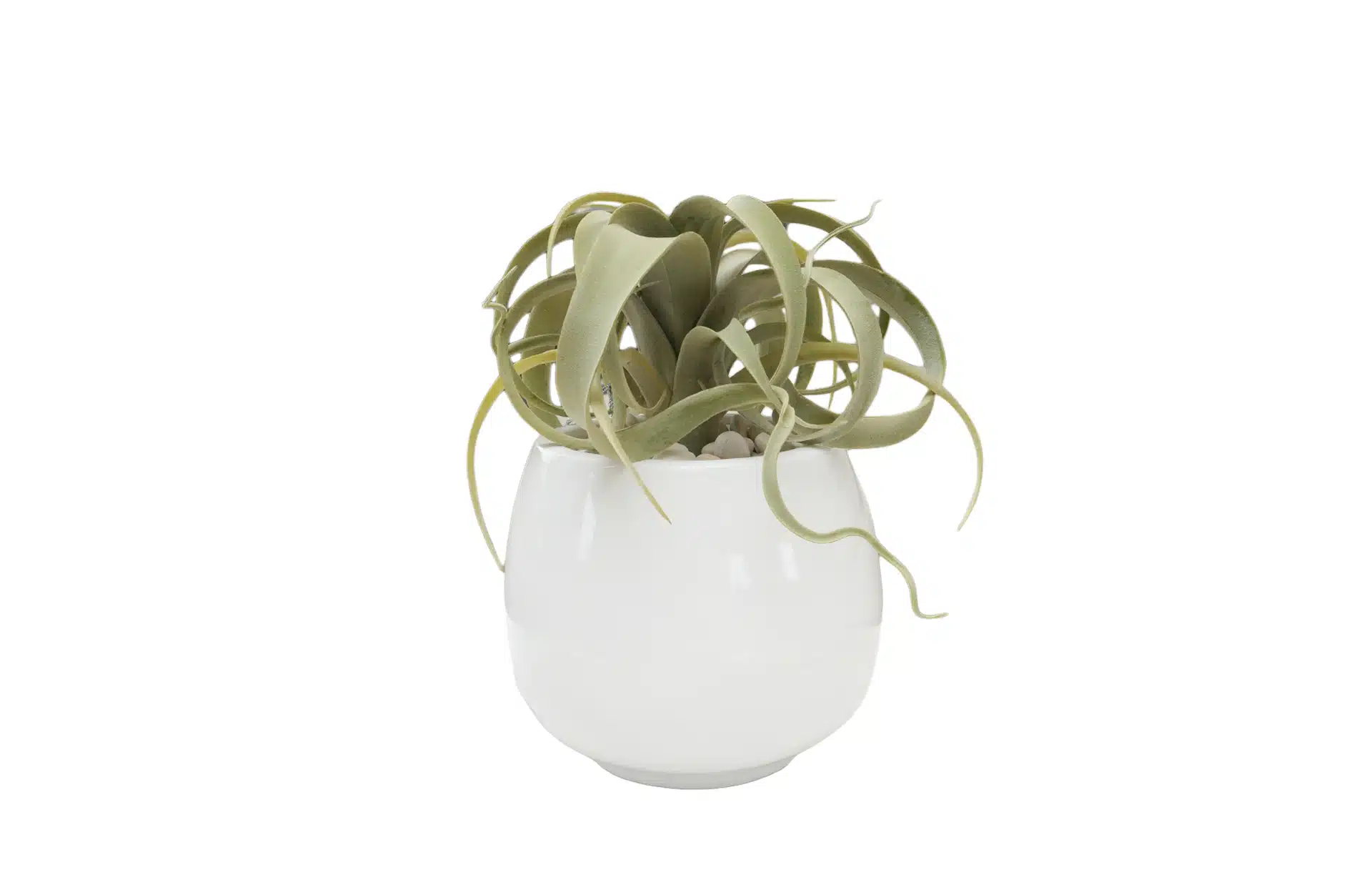 Home Decor Flower Arrangemnet No-45 White Glossy Pot Tillandsia 24 Front View