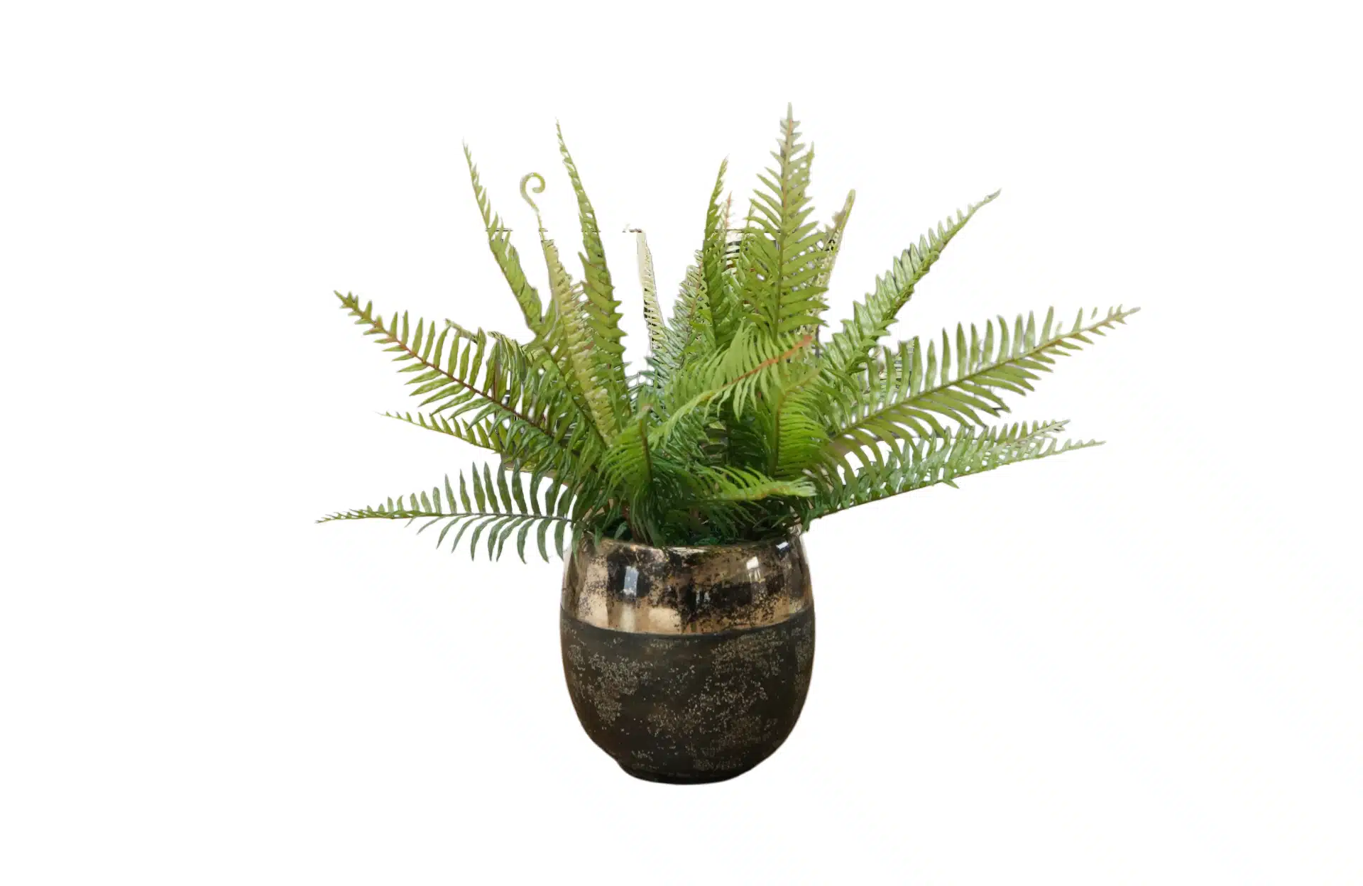 Home Decor Flower Arrangement No-73 Black Metalic Pot Fern Mix 24 Front View