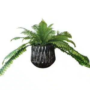 Home Decor Flower Arrangement No.51 - 022022 Geometric Black Pot Large Feen Front View