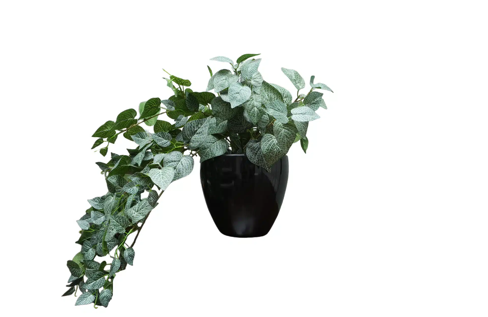 Home Decor Flower Arrangement No.53 - 022022 Glossy Black Plants Fihonia Front View