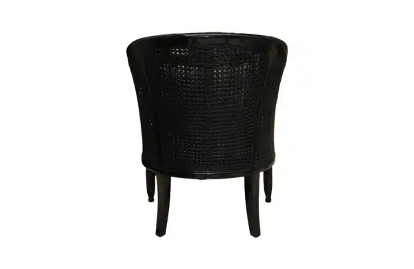 Home Decor Porto Rattan Armchair FP 11 Funghi Back View