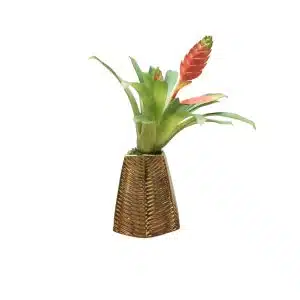 Home Decor Flower Arrangement No.89 - 022022 Cactus Redpot Bromelia Front View