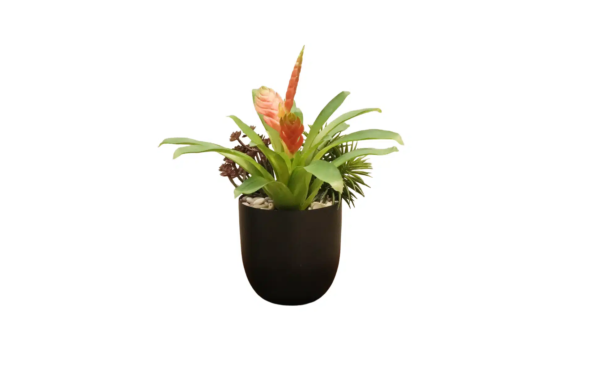 Home Decor Flower Arrangement No.88 - 022022 Red Planter Bromelia Mixed Garden Front View