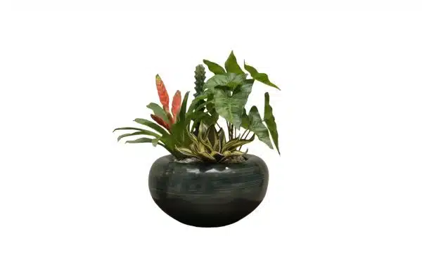 Home Decor Flower Arrangement No.84 - 022022 Glass Planter Croton Gardenmix Front View