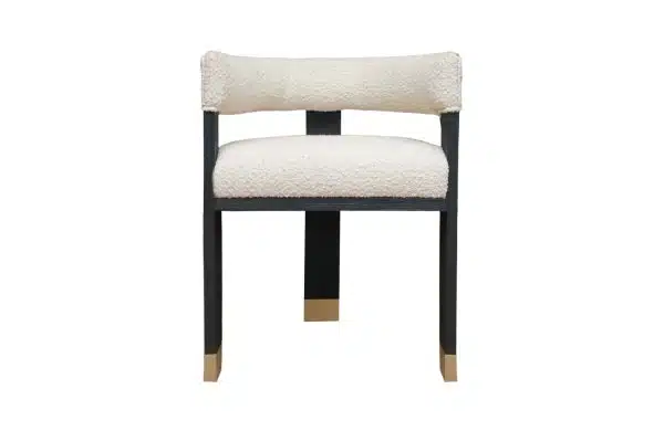 Home Decor Dining Chair Karpa SJ592-2 Front View